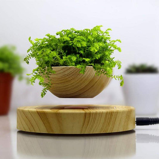 Aerial potted plants