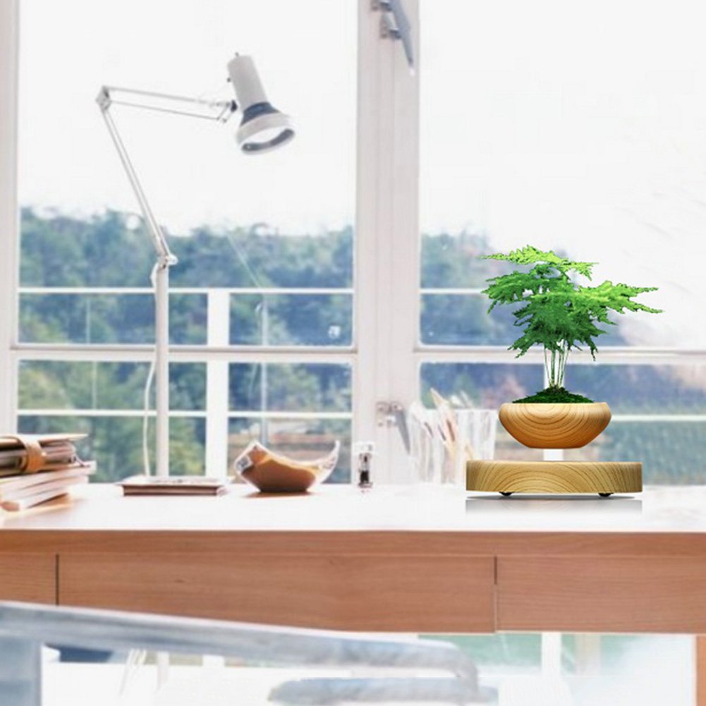 Aerial potted plants