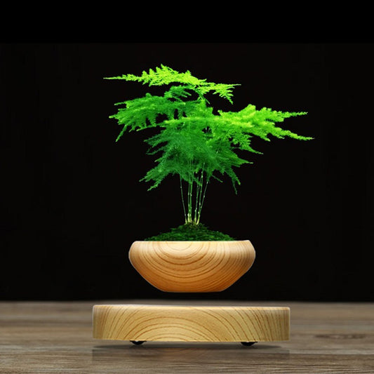Aerial potted plants