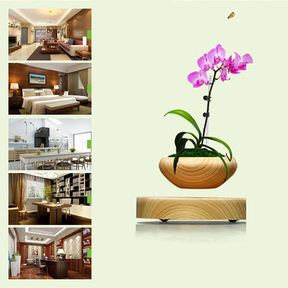 Aerial potted plants